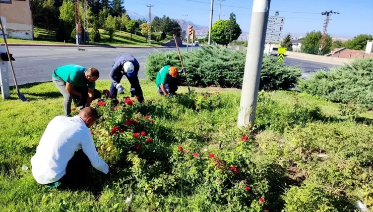 Kayseri Büyükşehir Belediyesi Üniversite Öğrencilerine Rehberlik ve Danışmanlık Hizmeti Sunuyor