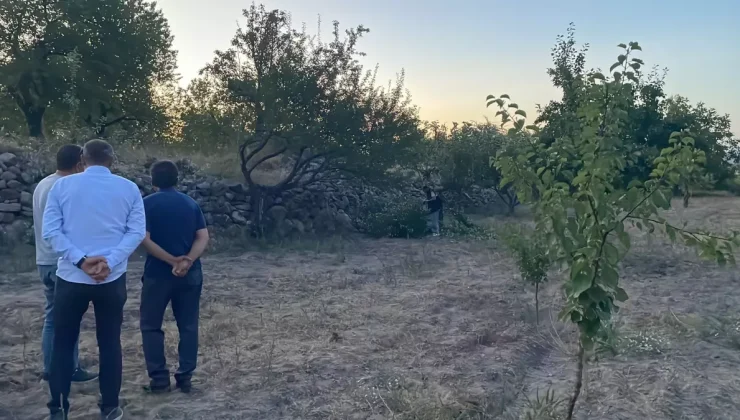 Kayseri’de Budama Yaparken Ağaçtan Düşen Yaşlı Adam Hayatını Kaybetti